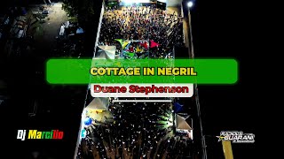 Duane Stephenson Cottage In Negril DVD Radiola Guarani Volume 17 2023 [upl. by Airitak859]