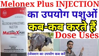 Melonex Plus Injection Veterinary Medicineपशुओं में किन रोगों में काम करता हैMelonex Vet Medicine [upl. by Jadda757]