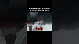 정상결전에 참전했던 해군이 루피의 아주 열렬한 지지자가 됐던 이유 원피스 [upl. by Eniowtna]