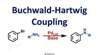 BuchwaldHartwig Coupling [upl. by Larrad650]