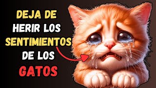 ¿Le estás HACIENDO DAÑO EMOCIONAL a tu GATO 16 ERRORES que debes evitar [upl. by Yxel]