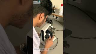 RIT Roorkee I Paramedical Sciences I Placement Oriented Programs [upl. by Illona]