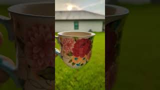 immokalee florida nonstoprain bear summer morning coffee [upl. by Dev]