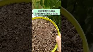 Fertilizer guide for houseplants gardeing gardeing [upl. by Pampuch]