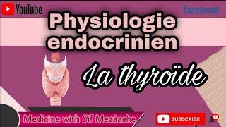 2 La Thyroïde  Physiologie 2ème MED [upl. by Irok291]