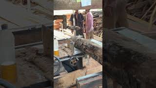 Precision Cutting and Wood Processing Mastery Revealed by Expert Sawmill Operators wood [upl. by Aldin]