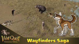 Bears and Bad Judgment  WolfQuest Wayfinders Saga Year 2 6 [upl. by Maitland718]