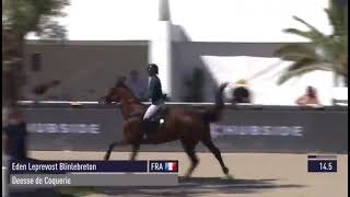 Déesse de Coquerie CONSUL DL VIEGFE amp Eden Leprevost Blin Lebreton  4e Grand Prix CSI2 StTropez [upl. by Ealasaid]