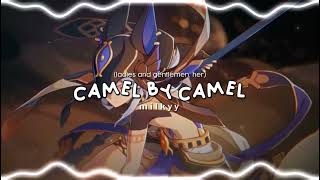 Camel by camel  Sandy Marton ladies and gentlemen her Audio Edit [upl. by Mattheus]