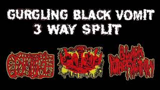 Cystgurgle  Gurgling Black Vomit 3Way Split 2012 [upl. by Oetam]