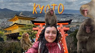 JAPONYA vlog 4  KYOTOnun maymunları nehirleri ormanları Arashiyama Gion ve dahası [upl. by Okihsoy846]