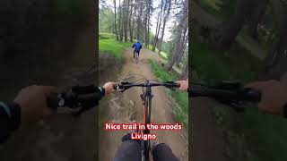 Nice trail in the woods Livigno [upl. by Uund200]