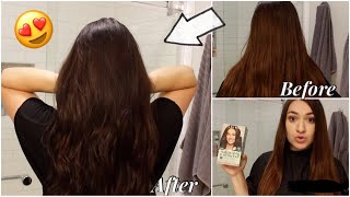 How I Dye My Hair at Home Easy amp Affordable  Clairol Natural Instinct Hair Color BougieOnABudget [upl. by Htor660]