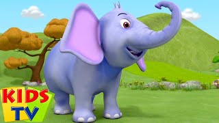 Hathi Raja  Hindi Rhymes For Children  Balgeet [upl. by Bartosch956]