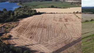 Vendo Campo Agrícola en una zona libre de Heladas y con horas fríos para armar Huertos Frutales [upl. by Malinde]