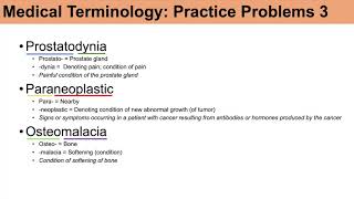 Medical Terminology  The Basics and Anatomy  Practice Lesson 4 [upl. by Ekez]