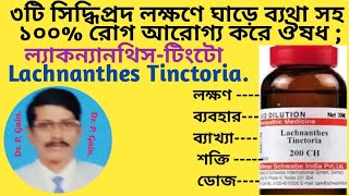 354 ল্যাকন্যানথিস টিংটো কাঁধে ব্যথার উৎকৃষ্ট ঔষধ Lachnanthes Tinc best remedy for shoulder pain [upl. by Darn]