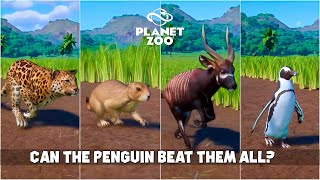 Planet Zoo Animals Race  African Penguin Bongo Springbok Amur Leopard Prairie Dog [upl. by Nelleus]