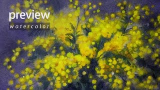 How to Draw a Acacia Dealbata Mimosa Watercolor Preview [upl. by Myrah]