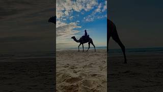 Breaking  A scene from the sea of gaza beach shortvideo shorts explore غزة عاجل gazastrip [upl. by Kcirtapnhoj]