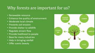 Factors affecting Natural Vegetation [upl. by Scherle]