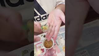 Natto taste test in Tokyo Japan [upl. by Eisenberg]