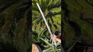 Making a Samurai Sword by sand casting samurai diy sword [upl. by Tirreg]