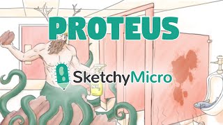 Proteus  SketchyMicro  Sketchy Medical USMLE Step 1 [upl. by Fawne830]