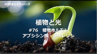 植物と光 ＃76 植物ホルモン アブシシン酸・ジベレリン [upl. by Eelloh]