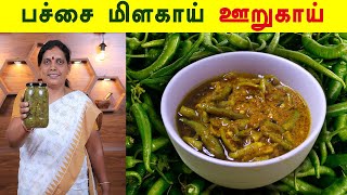 பச்சை மிளகாய் ஊறுகாய்  Pachai Milagai Oorugai  Green Chilly Pickle Recipe in Tami  Foodie Tamizha [upl. by Latsyrcal440]