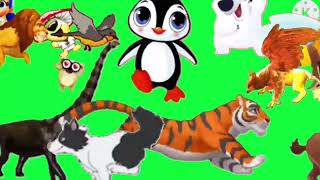 Green Screen animal  Animals running Cartoon Video  3danimals all farm animals running Stampede ca [upl. by Krakow381]