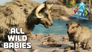 These Wild BABIES Spawn in ARK Survival Ascended [upl. by Ayifas]