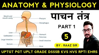 पाचन तंत्र Digestive System  Anatomy amp Physiology Theory Class 5  Physical Education Online Class [upl. by Perni988]