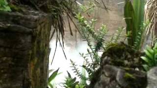 Punakaiki Blowholes and Pancake Rocks New Zealand [upl. by Nolur]