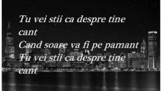 Despre Tine Cant  Dan Balan with lyrics [upl. by Orme]