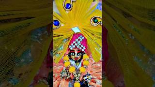 Vrindavan Jana hai 😍🙏😌 indresh ji maharaj shorts ytshorts [upl. by Iek121]