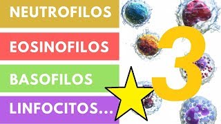 LEUCOCITOS » ¿Qué son Funciones Valores adecuados Parte 3 [upl. by Ainavi535]