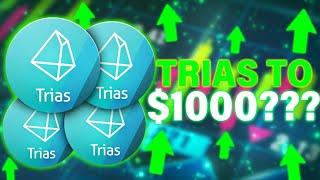 Why You NEED 1000 TRIAS 12 Month Update [upl. by Isoais]