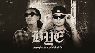 Peso Pluma Wiz Khalifa  Bye G Mix Video Visualizer [upl. by Airret808]