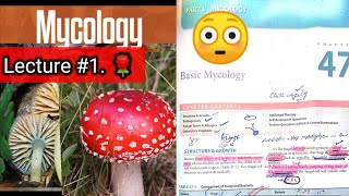 Basic mycology 🛑 LECTURE 1 Chap 47 Difference between fungi and bacteria hyphaeyt Lab diagnosis [upl. by Nitram]