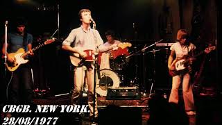 Talking Heads  CBGB New York 28081977 [upl. by Ailed]