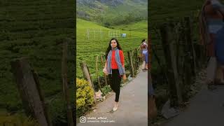 Places to visit in Munnar 🏞️ Munnar tourist places munnar touristplaces placestovisitinmunnar [upl. by Sidoma]