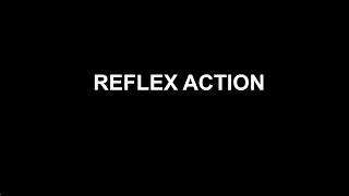 Lesson 10 reflex action [upl. by Enixam]