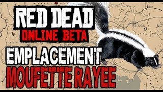 RED DEAD ONLINE  EMPLACEMENT MOUFETTE RAYÉE  Striped skunk location [upl. by Nylinej]