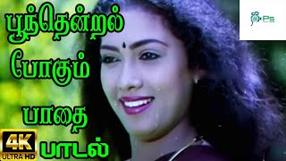 பூந்தென்றல் போகும் பாதை  Poonthendral pogum  K S Chithra  Ullam Kavarntha Kalvan Movie Song HD [upl. by Nylyoj]