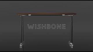 Introducing WISHBONE  The Fusion of Organic Inspiration and Modern Engineering  TiMOTION [upl. by Nnyrb]