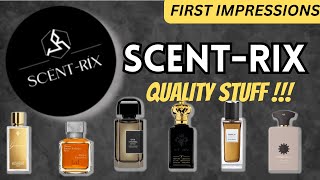 ScentRix First Impressions  Premium Quality at Budget Prices  YSL Babycat  MAB Ganymade alts [upl. by Heng]