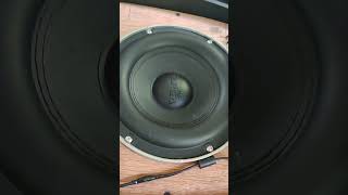 TARGA 8 SUBWOOFER [upl. by Garey]