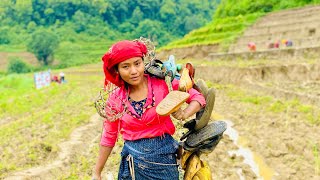 Aaja bata hamro ropai pani sakiyo guys 🤗😍😁❤️mamatathapa villagevlog naturalvideo [upl. by Swanhildas]