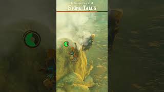 Zelda Tears of the Kingdom Stone Taluses are OP [upl. by Heger]